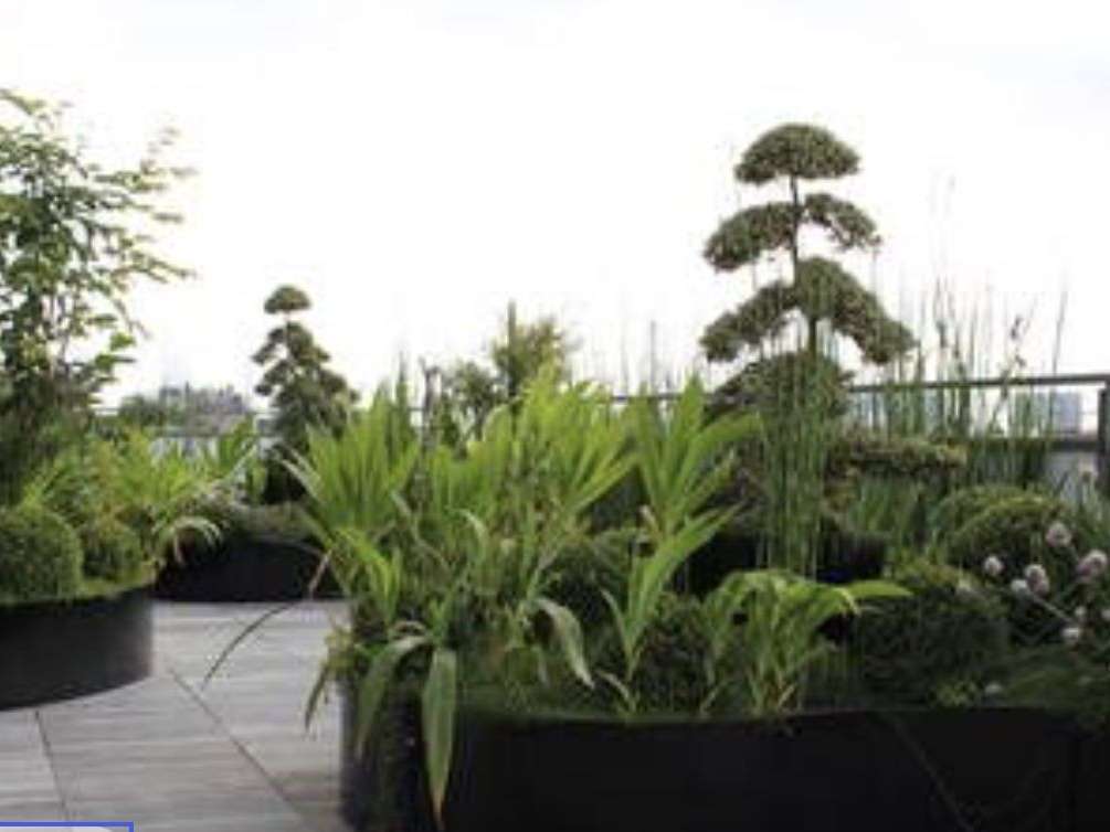 Appartement Tassin-la-Demi-Lune