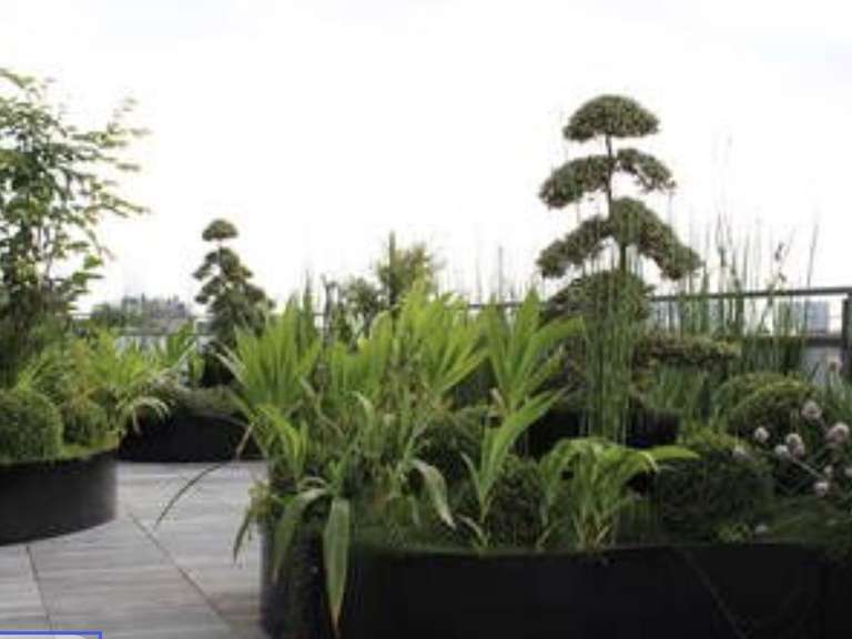 Appartement Tassin-la-Demi-Lune - 85m²