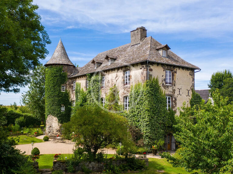 Vente Château Taussac - 7 chambres