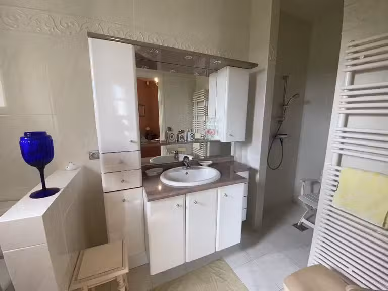 Maison Terrasson-Lavilledieu - 4 chambres - 247m²