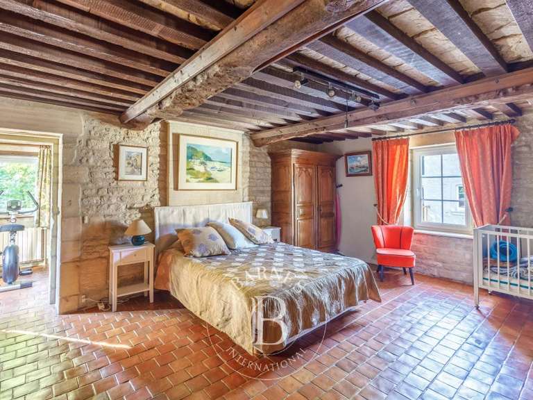 Moulin Thaon - 10 chambres - 580m²