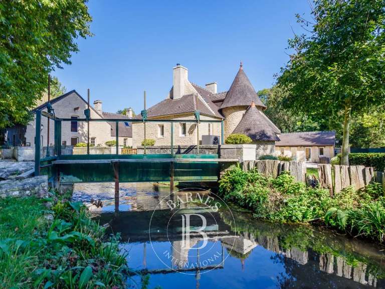 Moulin Thaon - 10 chambres - 580m²