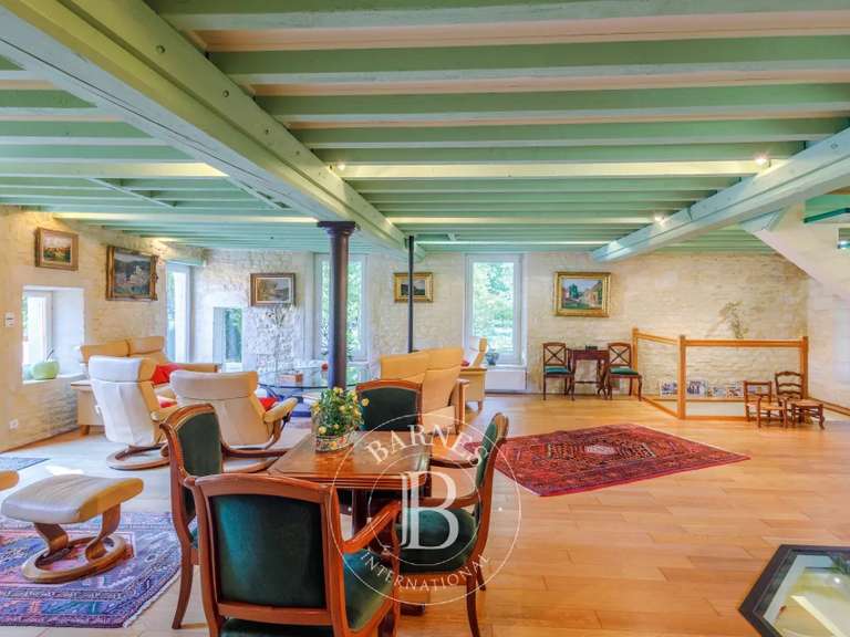 Moulin Thaon - 10 chambres - 580m²