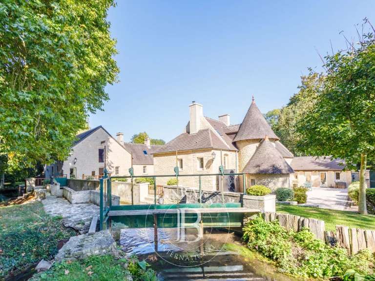 Moulin Thaon - 10 chambres - 580m²