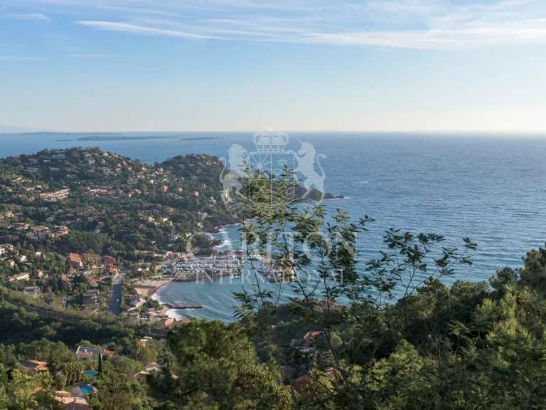 Villa avec Vue sur mer Théoule-sur-Mer - 5 chambres - 350m²