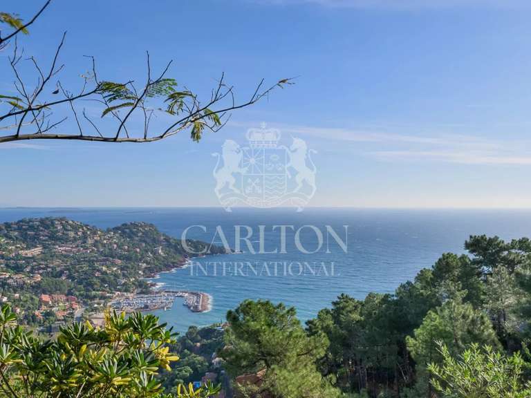 Villa avec Vue sur mer Théoule-sur-Mer - 5 chambres - 350m²