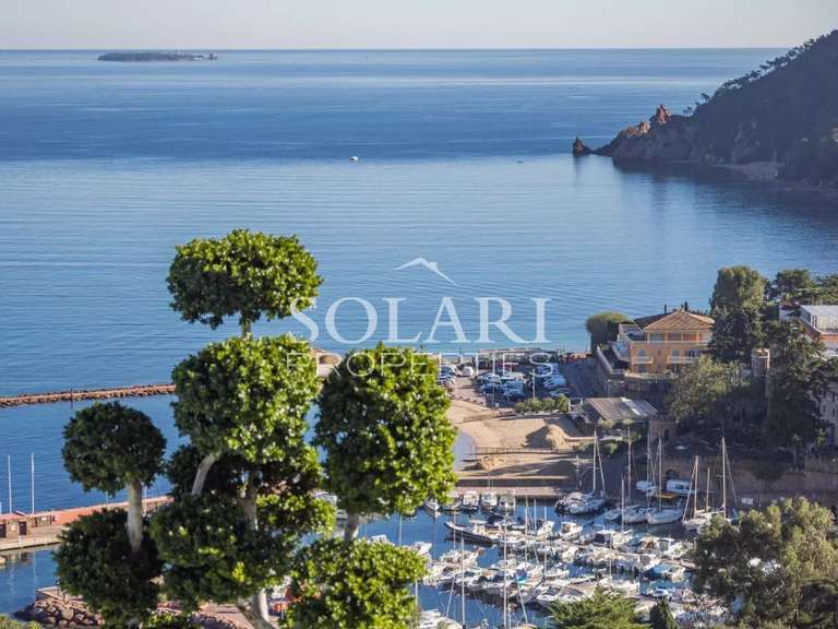 Villa Théoule-sur-Mer - 7 chambres - 700m²