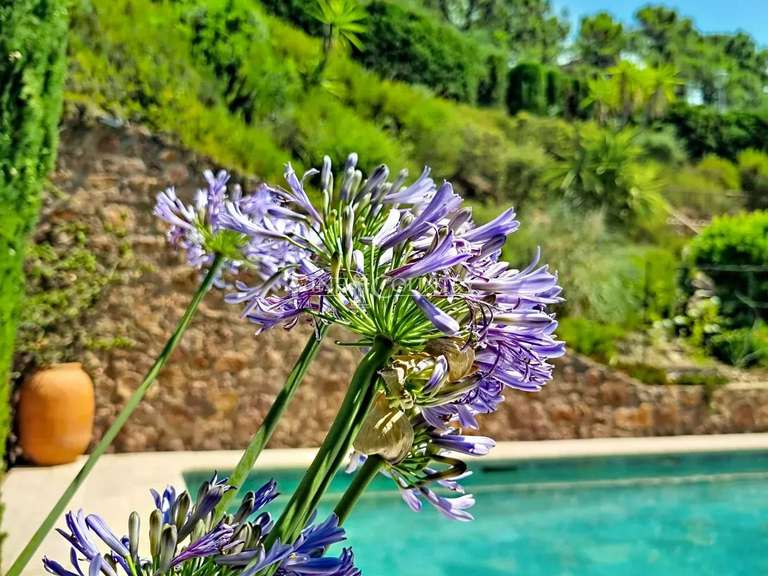 Villa Théoule-sur-Mer - 4 chambres - 285m²