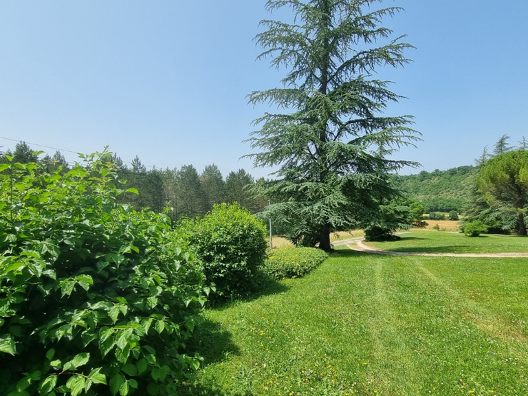 Maison Thézac - 9 chambres - 360m²