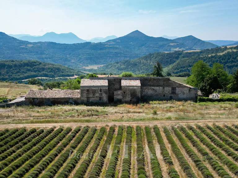 Maison Thoard - 3 chambres - 1500m²