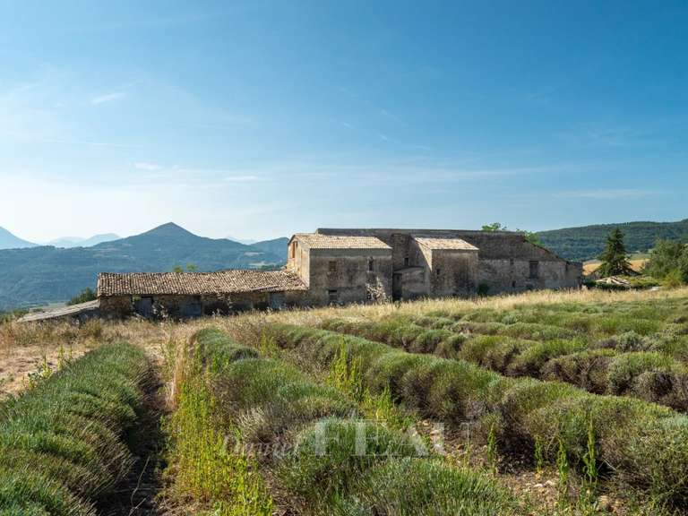 Maison Thoard - 3 chambres - 1500m²