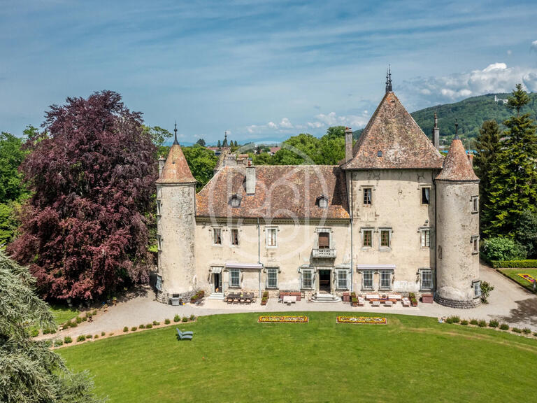 Sale Castle Thonon-les-Bains - 15 bedrooms