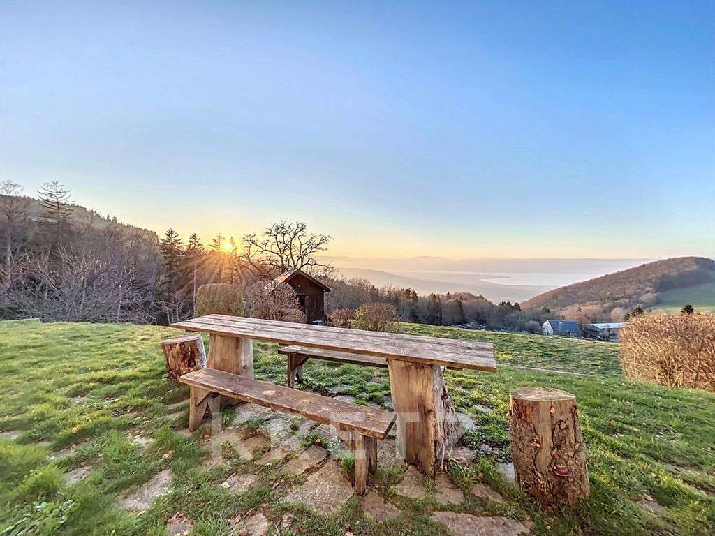 Maison Thonon-les-Bains