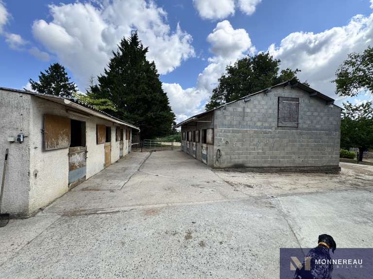 House Torsac - 4 bedrooms - 274m²