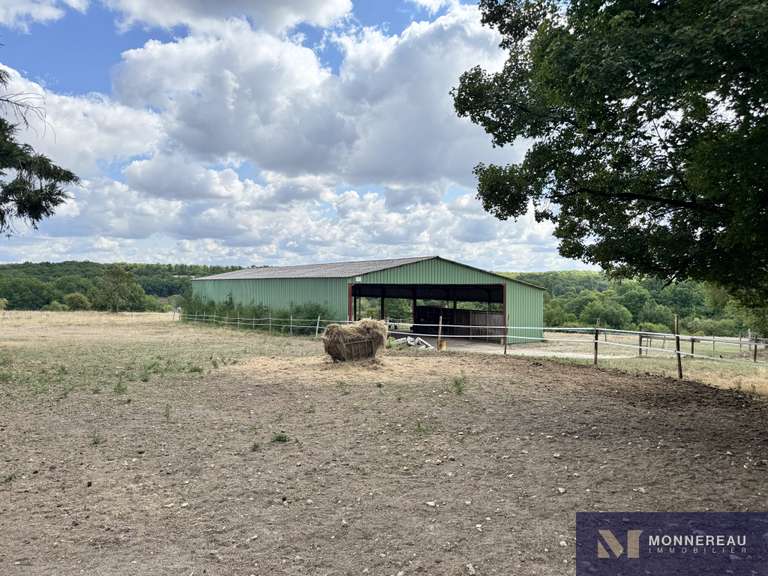 House Torsac - 4 bedrooms - 274m²