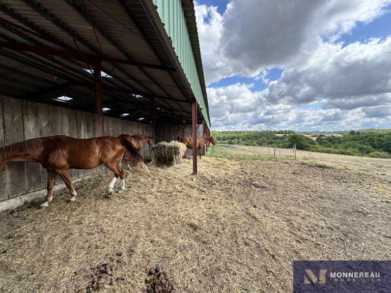 House Torsac - 4 bedrooms - 274m²