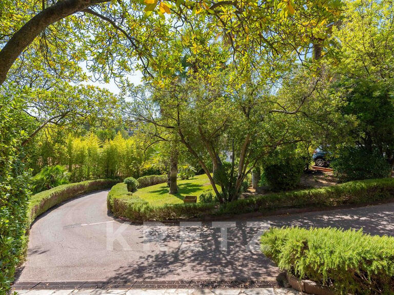 House Toulon - 5 bedrooms - 495m²