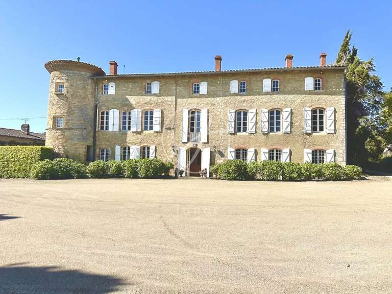 Castle Toulouse - 16 bedrooms - 542m²