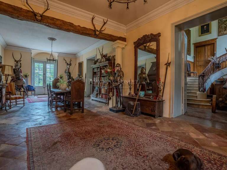 Château Toulouse - 6 chambres - 1260m²