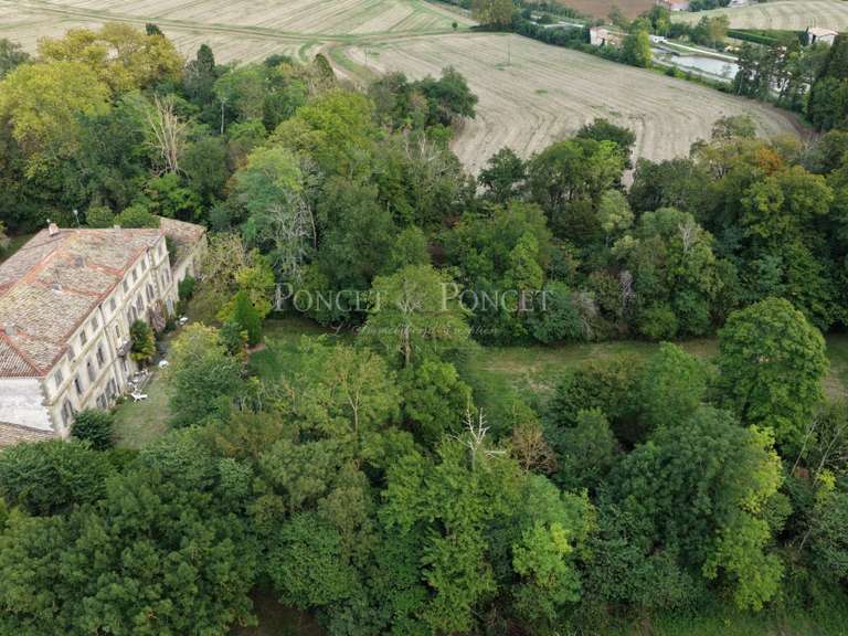 Château Toulouse - 6 chambres - 1260m²