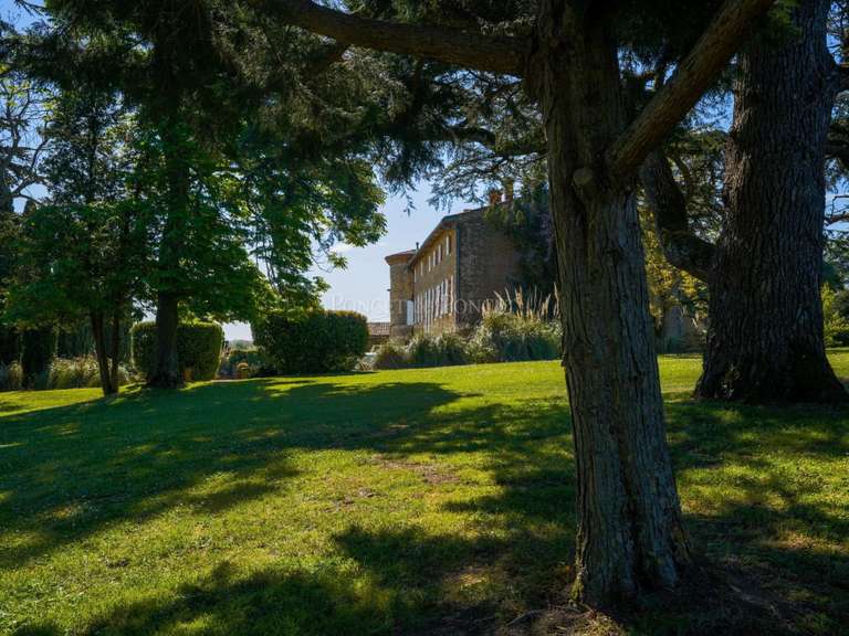 Château Toulouse - 850m²