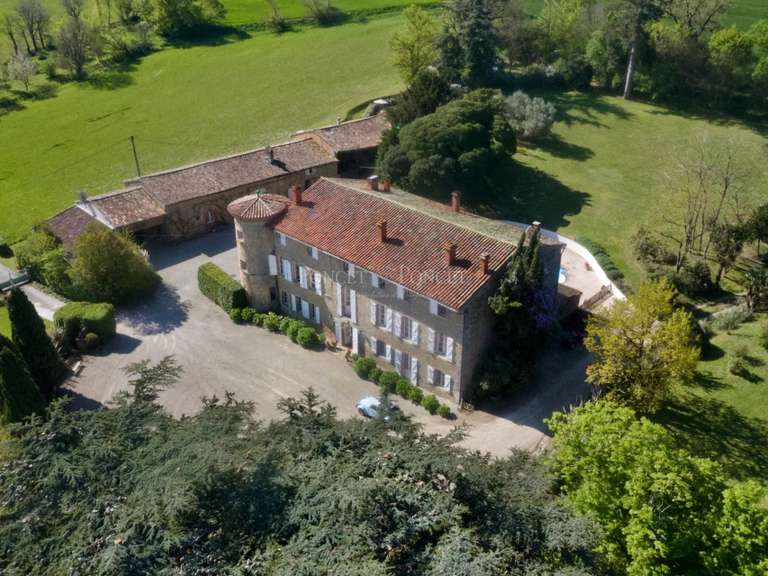 Château Toulouse - 850m²