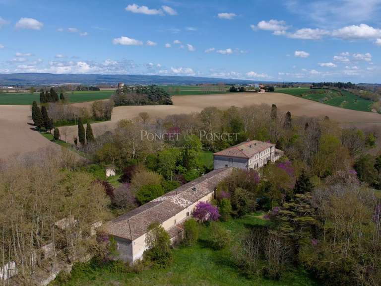 Château Toulouse - 6 chambres - 1260m²