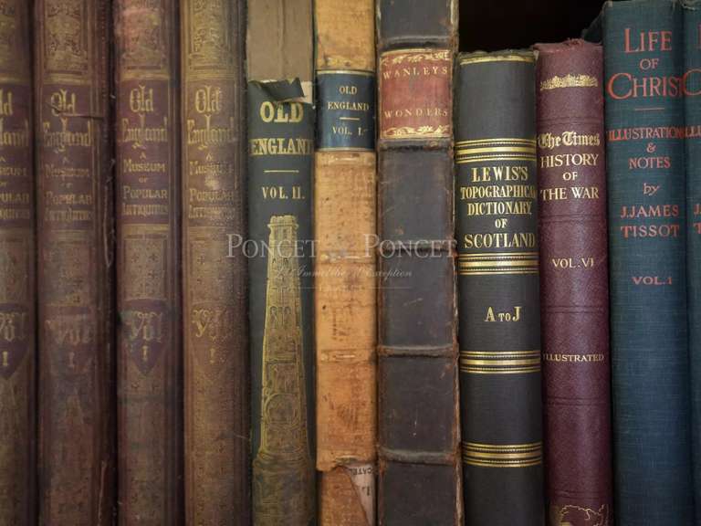 Château Toulouse - 6 chambres - 1260m²