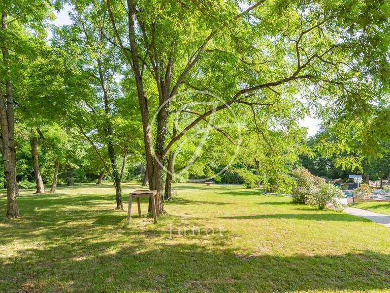 Château Toulouse - 12 chambres - 800m²