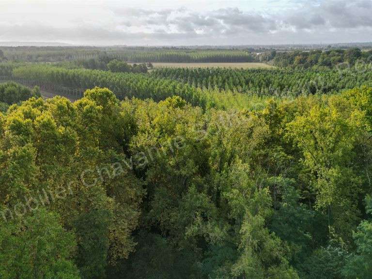 Château Toulouse - 11 chambres - 1150m²