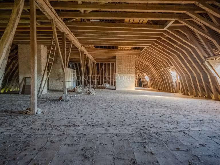 Château Toulouse - 11 chambres - 900m²