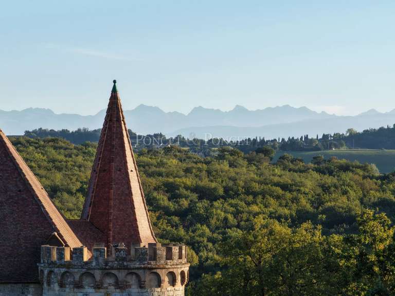 Château Toulouse - 11 chambres - 900m²
