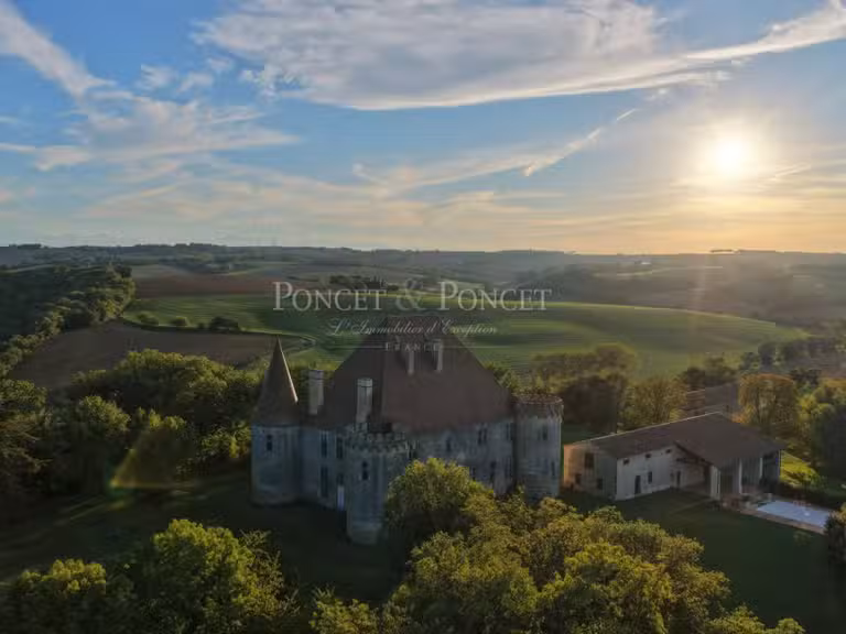 Château Toulouse - 11 chambres - 900m²