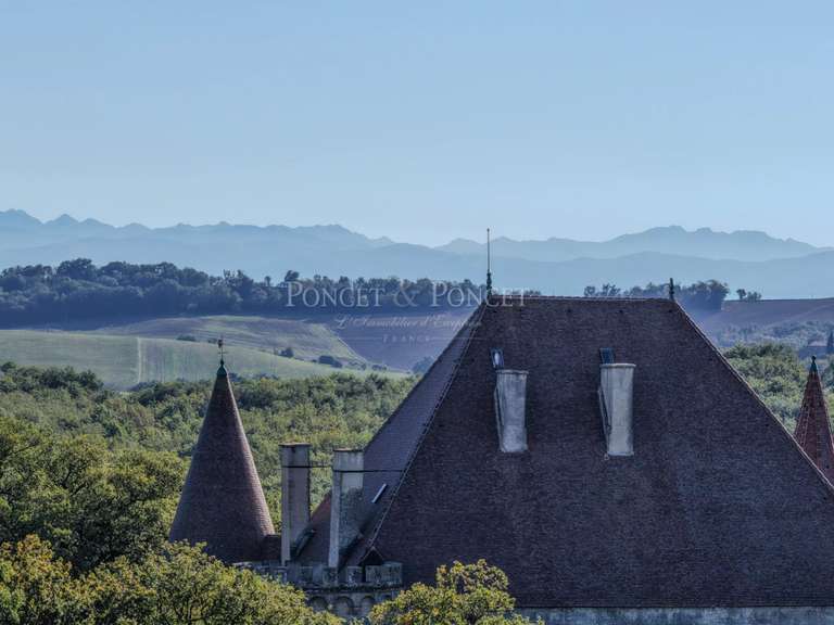 Château Toulouse - 11 chambres - 900m²