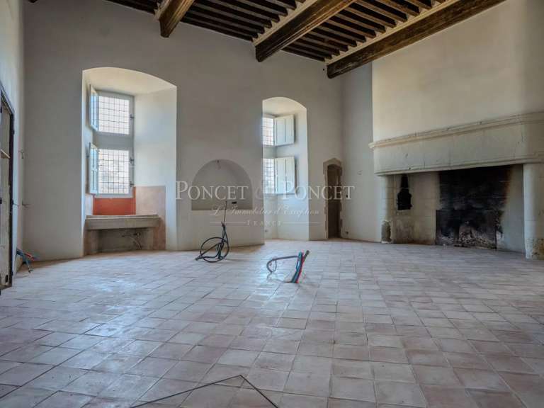 Château Toulouse - 11 chambres - 900m²