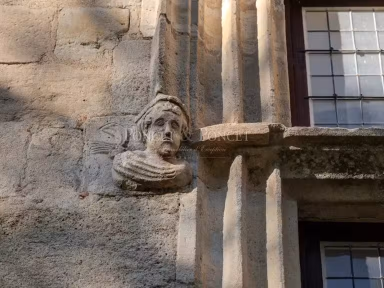 Château Toulouse - 11 chambres - 900m²