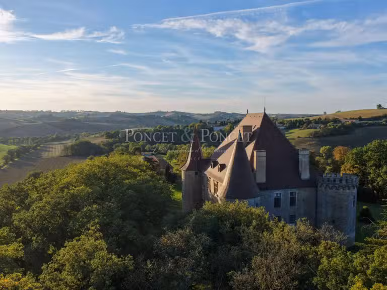 Château Toulouse - 11 chambres - 900m²