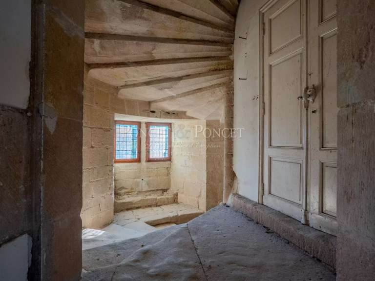 Château Toulouse - 11 chambres - 900m²