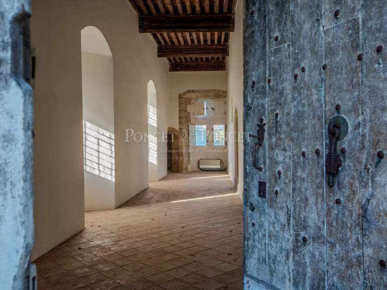 Château Toulouse - 11 chambres - 900m²