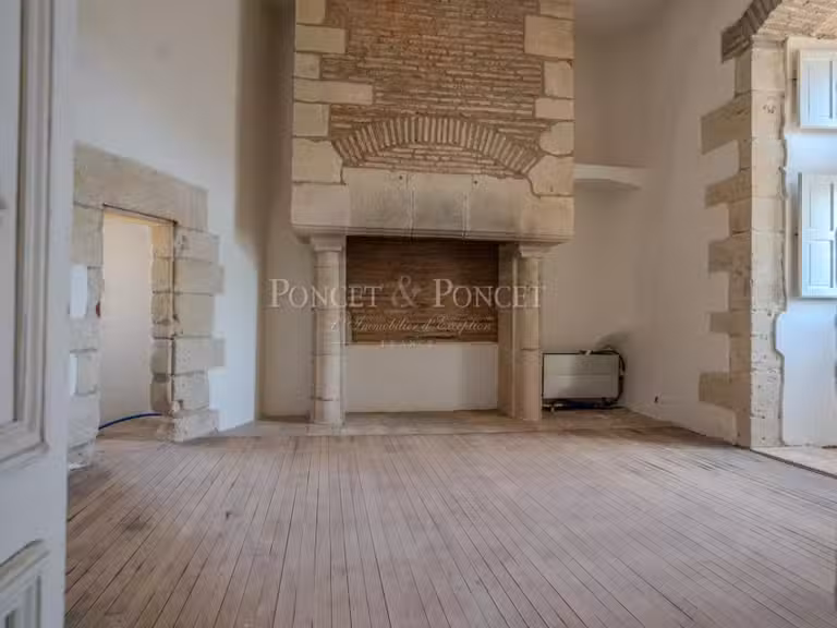 Château Toulouse - 11 chambres - 900m²