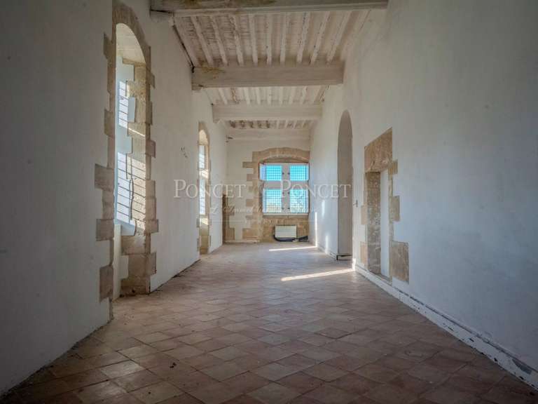 Château Toulouse - 11 chambres - 900m²