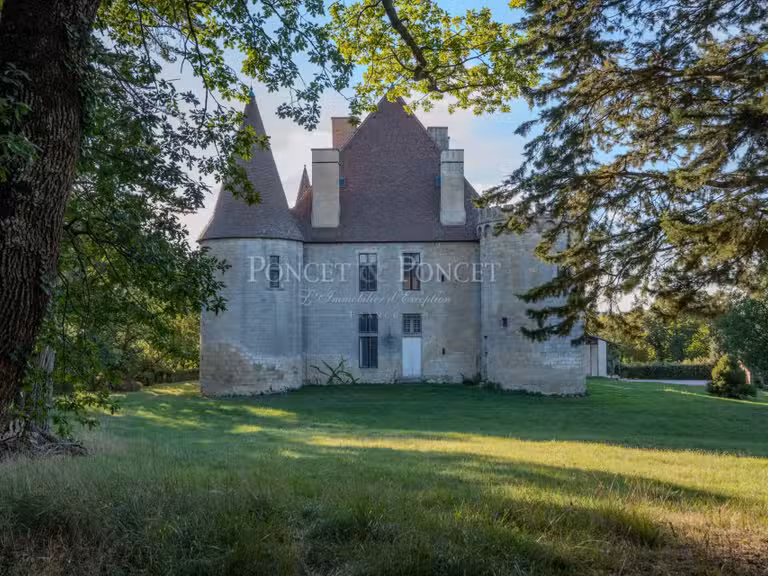 Château Toulouse - 11 chambres - 900m²