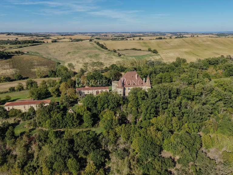 Château Toulouse - 11 chambres - 900m²