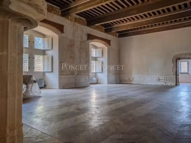 Château Toulouse - 11 chambres - 900m²