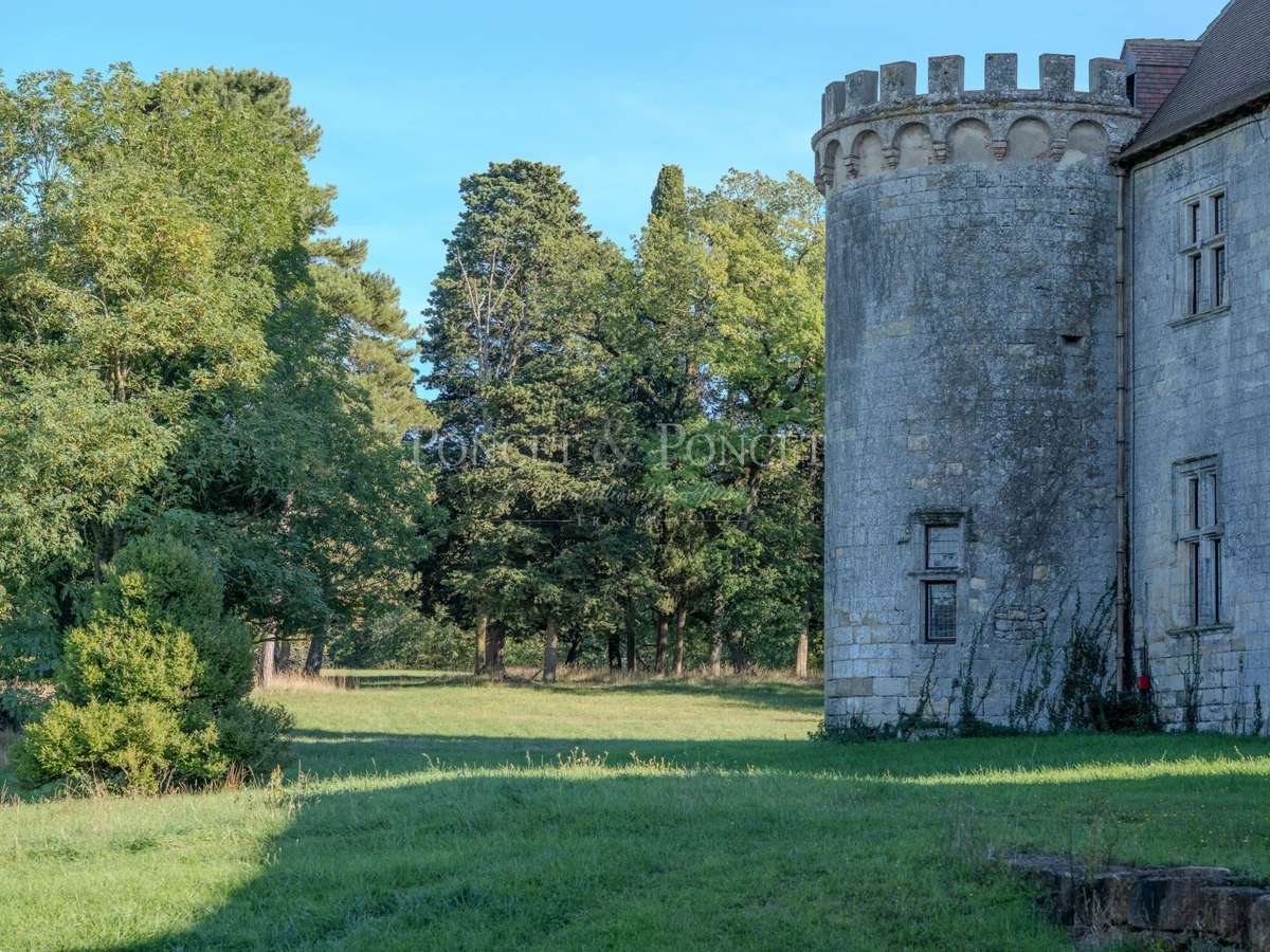 Château Toulouse