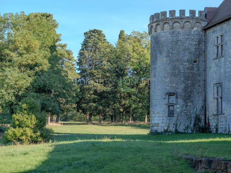 Château Toulouse - 11 chambres - 900m²