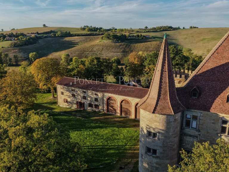 Château Toulouse - 11 chambres - 900m²