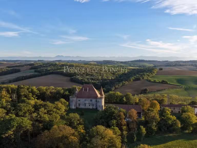 Château Toulouse - 11 chambres - 900m²
