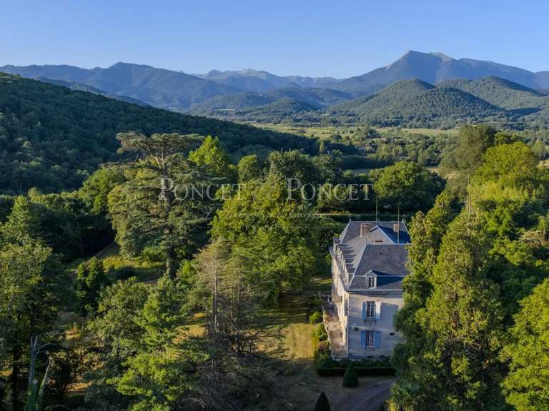 Château Toulouse - 10 chambres - 730m²
