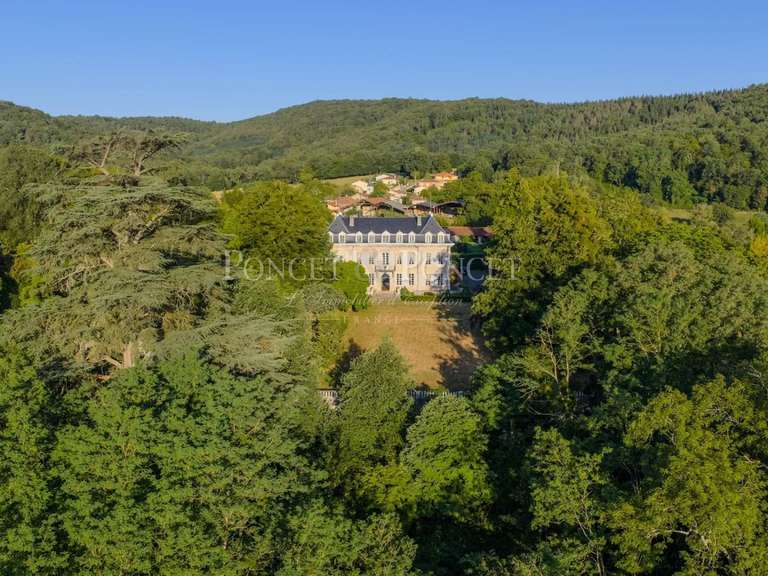 Château Toulouse - 10 chambres - 730m²
